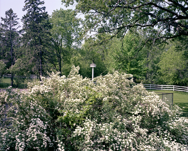 My Parentâ€™s Backyard